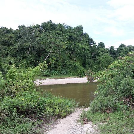 Cabana Wiwa Tayrona 洛斯纳兰霍斯 外观 照片