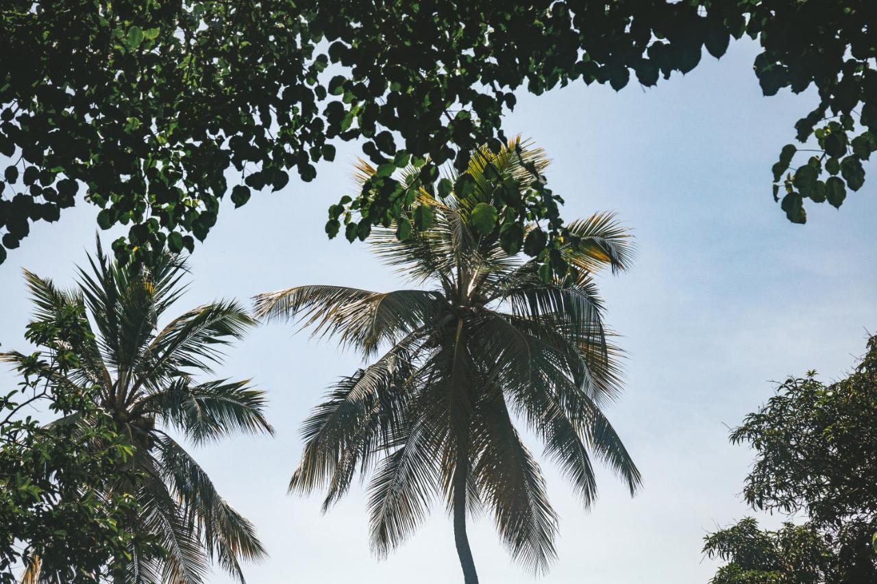 Cabana Wiwa Tayrona 洛斯纳兰霍斯 外观 照片