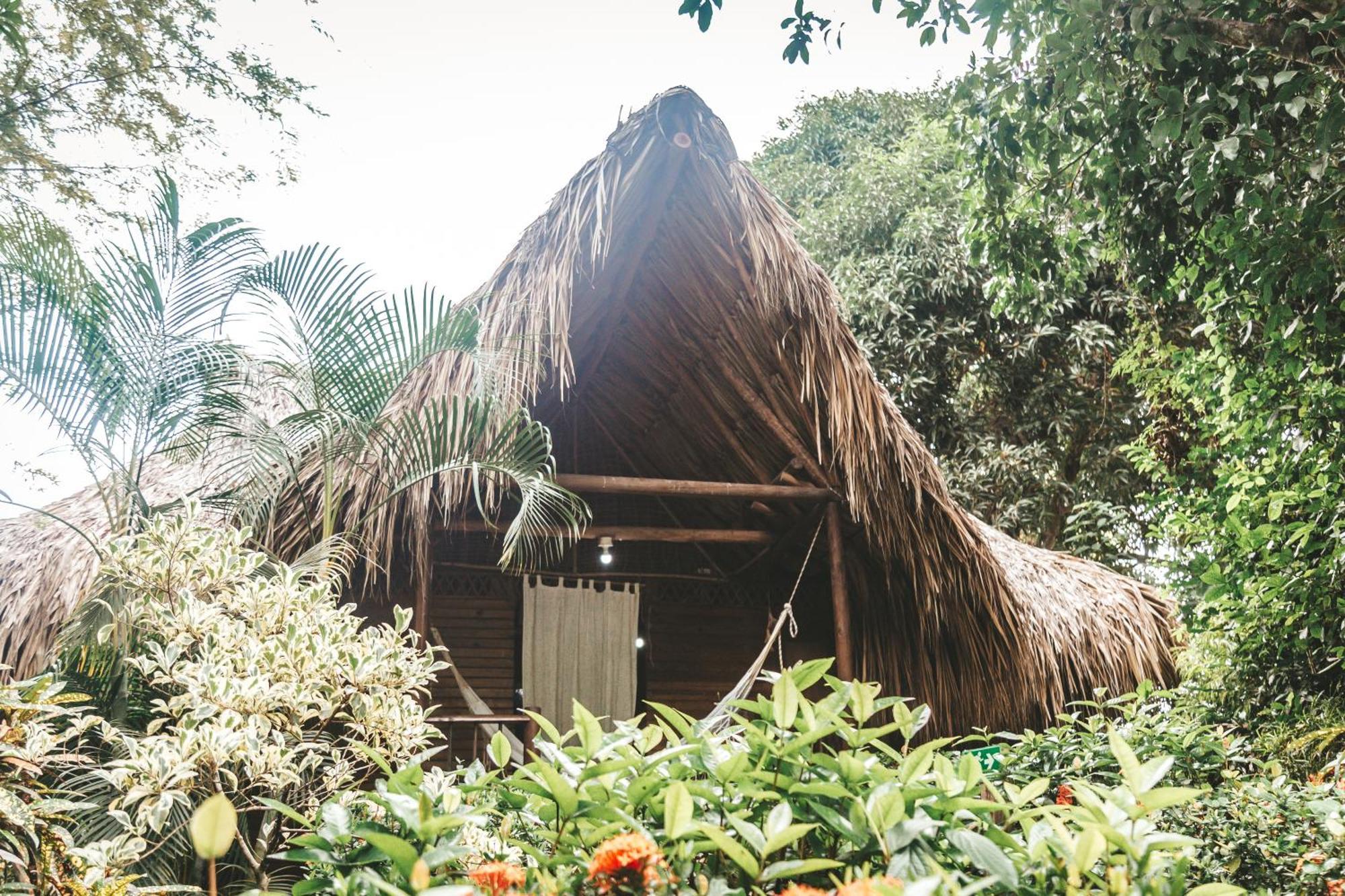 Cabana Wiwa Tayrona 洛斯纳兰霍斯 外观 照片