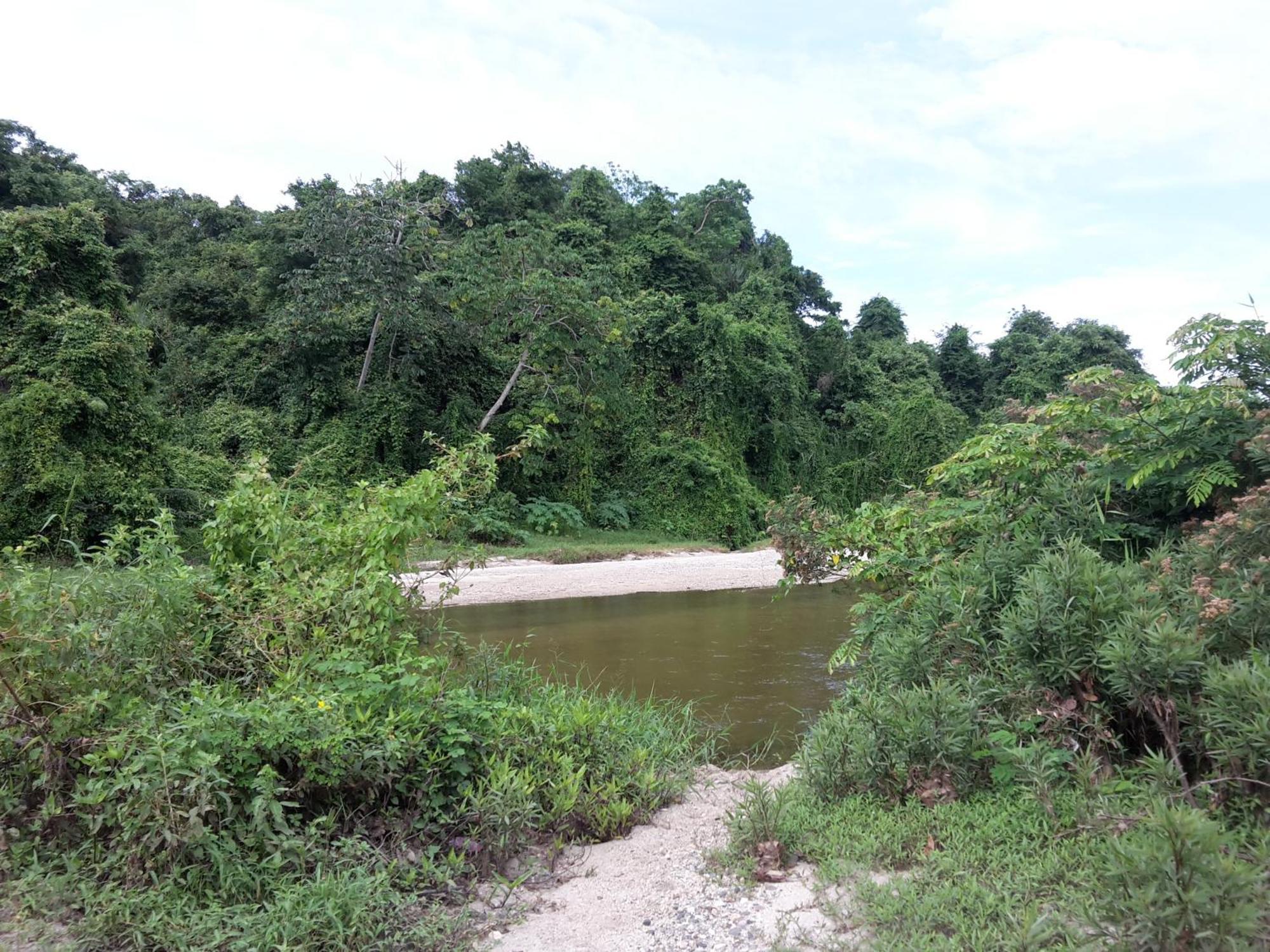 Cabana Wiwa Tayrona 洛斯纳兰霍斯 外观 照片