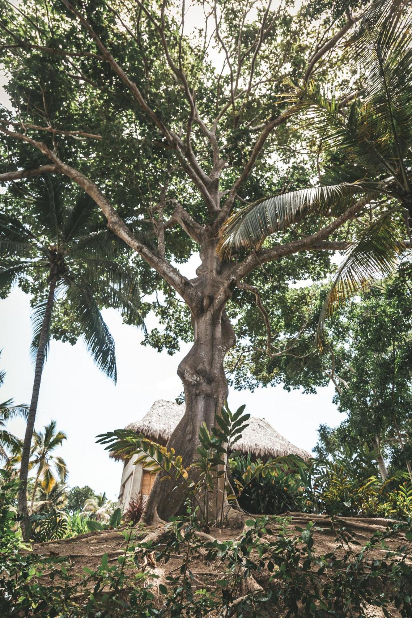 Cabana Wiwa Tayrona 洛斯纳兰霍斯 外观 照片