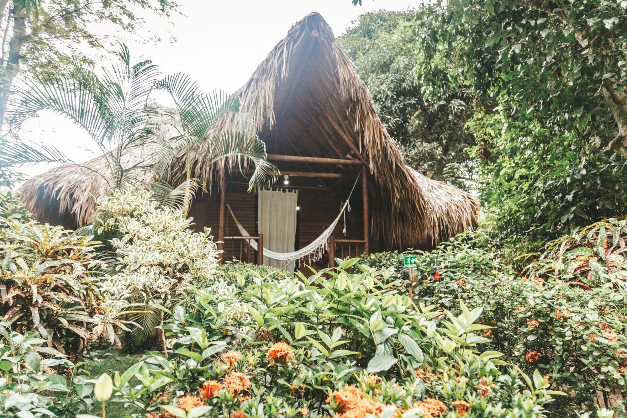 Cabana Wiwa Tayrona 洛斯纳兰霍斯 外观 照片